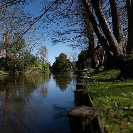 Surrey Hills Escape: Riverside Walks & Quick Links Годалминг Екстериор снимка